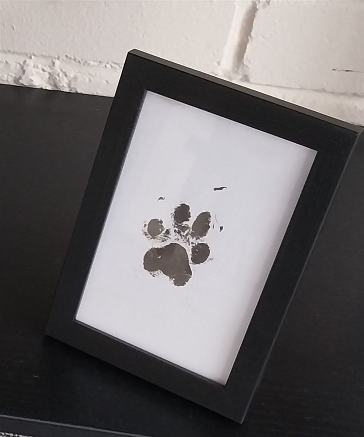 Black memorial frame with paw print detail