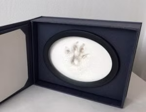 A boxed paw print keepsake.