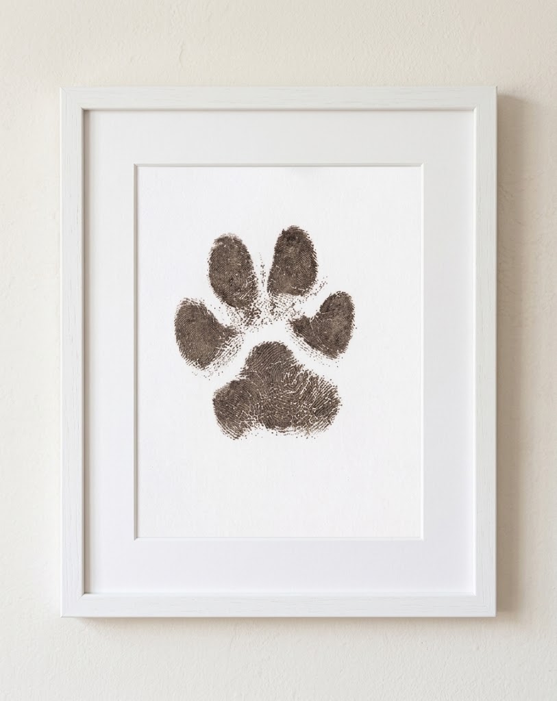A framed ink paw print keepsake hanging on a wall.