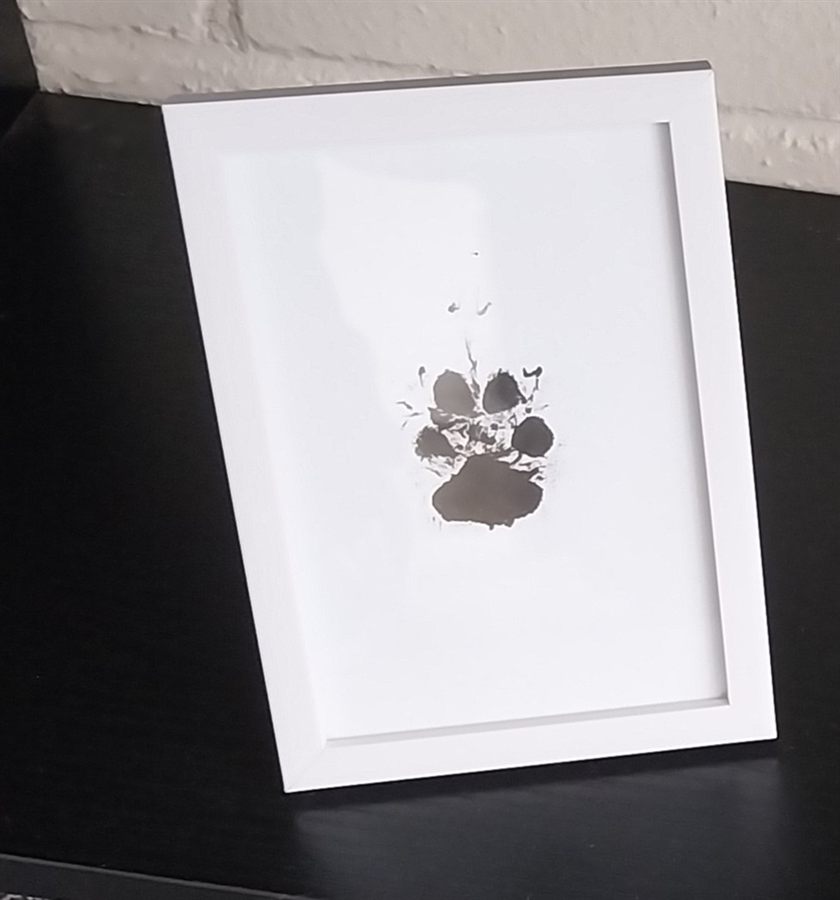White memorial frame with paw print detail